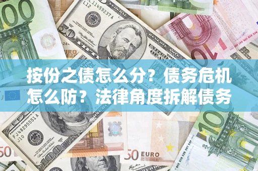 武汉按份之债怎么分？债务危机怎么防？法律角度拆解债务分配与风险自保指南