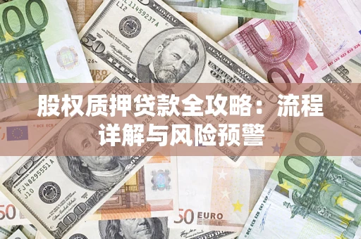武汉股权质押贷款全攻略：流程详解与风险预警