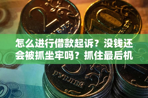 武汉怎么进行借款起诉？没钱还会被抓坐牢吗？抓住最后机会！