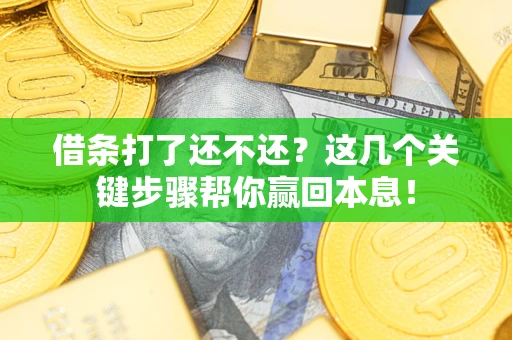 武汉借条打了还不还？这几个关键步骤帮你赢回本息！