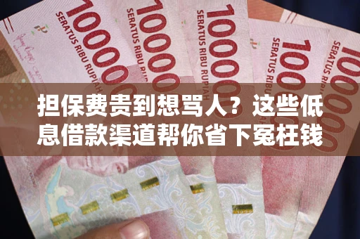 武汉担保费贵到想骂人？这些低息借款渠道帮你省下冤枉钱