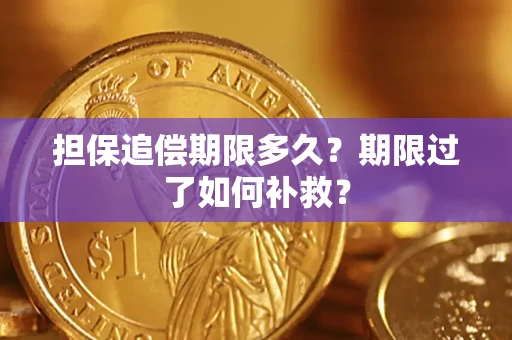 武汉担保追偿期限多久？期限过了如何补救？