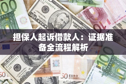 武汉担保人起诉借款人：证据准备全流程解析