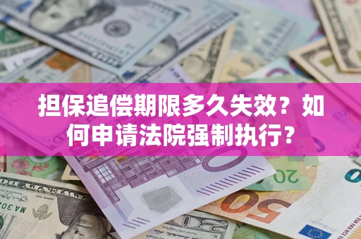 武汉担保追偿期限多久失效？如何申请法院强制执行？