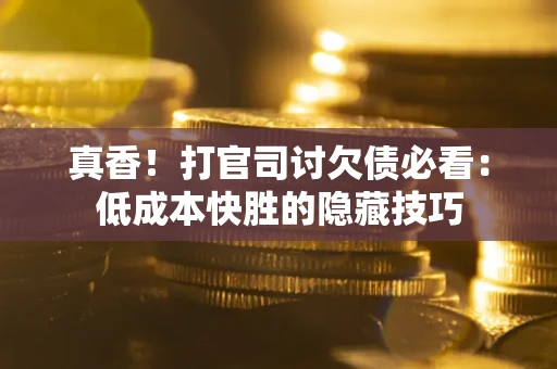 武汉真香！打官司讨欠债必看：低成本快胜的隐藏技巧
