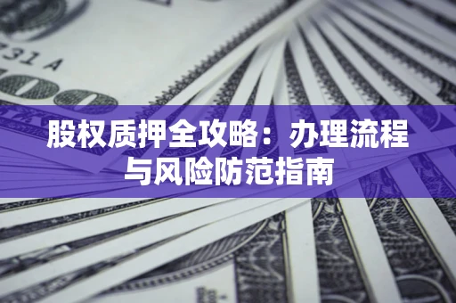 武汉股权质押全攻略：办理流程与风险防范指南