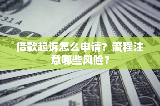 武汉借款起诉怎么申请？流程注意哪些风险？