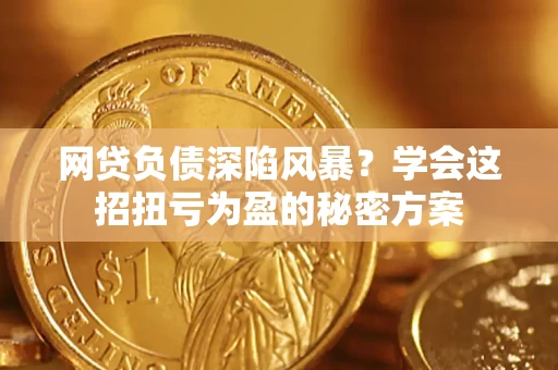 武汉网贷负债深陷风暴？学会这招扭亏为盈的秘密方案